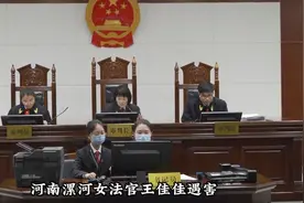 事闹大了！河南37岁女法官被害案公开，评论区网友又炸锅了图片