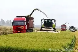 侯立虹：为农民发声，还是为资本发声？——也谈农民卖青储图片