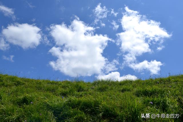 河北麻田岭（上）：绿野铺毡接云影、风轮伴路探山魂