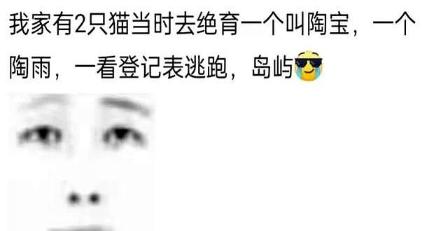 笑麻了！你的宠物有什么别致的名字？网友：你的全家桶做完了