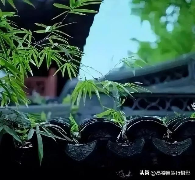 震撼！故宫瓦当，紫禁城守望者；中式美学老屋瓦当 只有中国人才懂