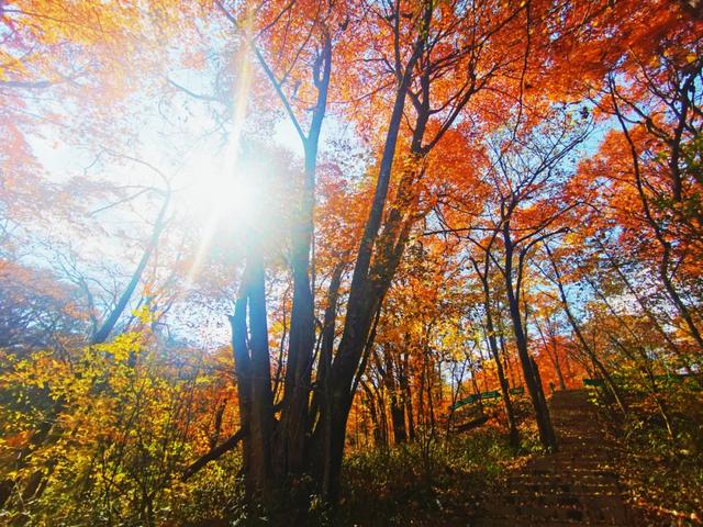 赏秋正当时！自驾来汉中，赴一场秋日视觉盛宴~