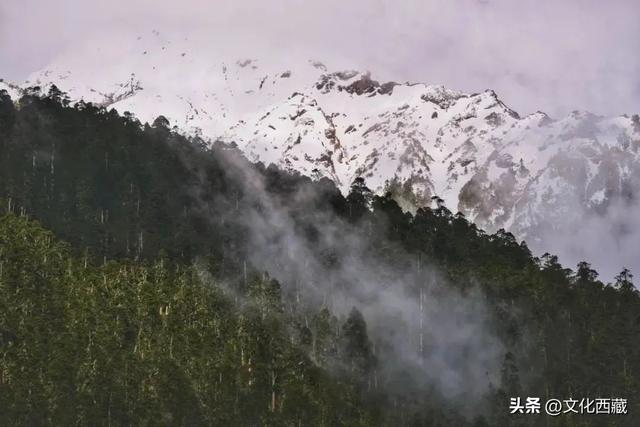 终于被我找到了！这个20℃的西藏避暑小城，确实无敌宝藏啊！