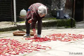 我婆婆接生了一辈子，说生儿生女是命中注定的，强求不来图片