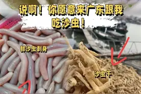 蟑螂，老鼠，蛇，广东人真的什么都吃吗？图片