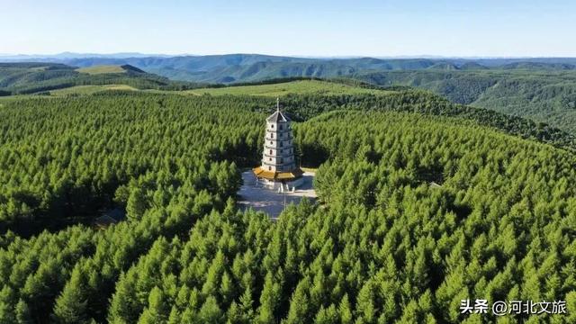 河北到底哪里美 | 畅玩河北坝上之承德围场篇