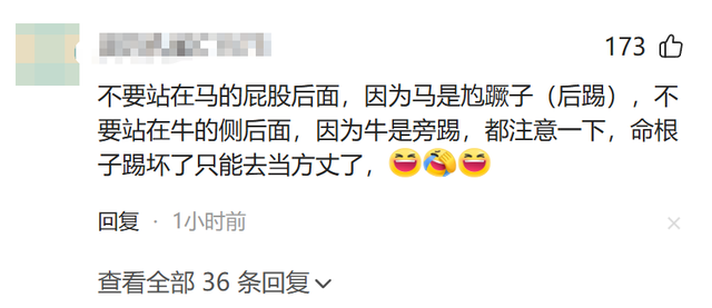 男子被马踹下体后续，没买票被骂活该，景区推卸责任，今重新开业