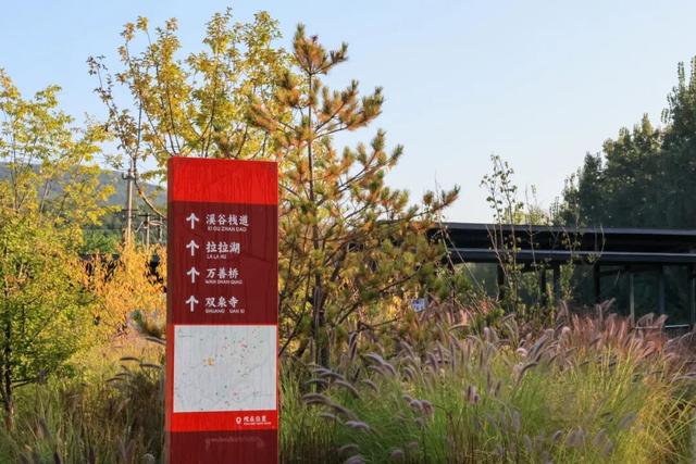 别等了！石景山的秋，已悄悄递来邀约信号