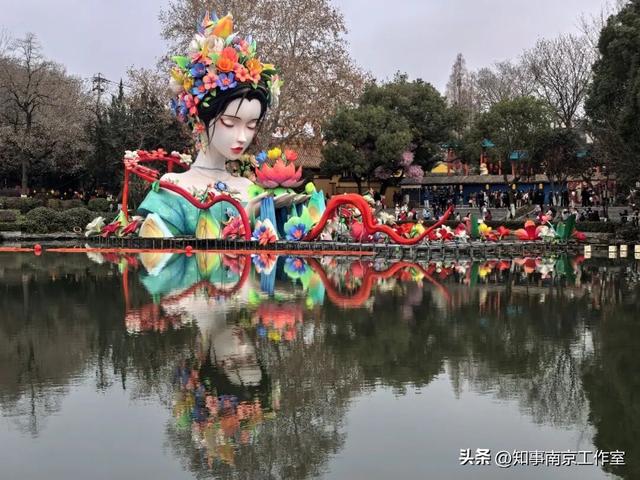 当整个南京都在追光，我在白鹭洲等一场灯与影的相逢