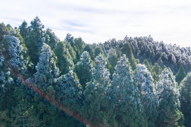 明月山惊现冰瀑雾凇，已经开始期待下雪了！