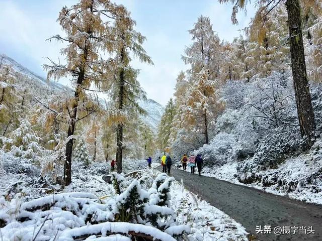 甲依拉措 ：一场白雪与彩林的盛宴