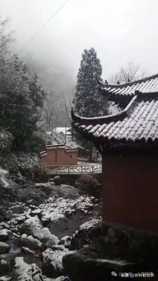 雨雪龙须禅寺 || 胡成江