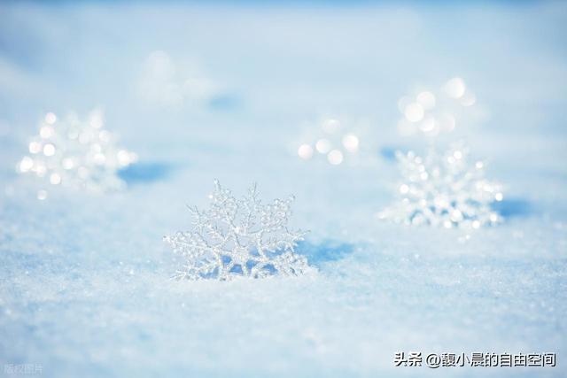 大雪为幕，赴一场心动之约