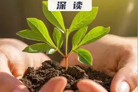 中国科协组织人事部负责人就制定印发《中国科协青年人才托举工程博士生专项计划管理办法（试行）》答问图片