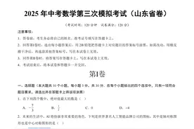 2025年中考数学第三次模拟考试（山东省卷）（考试版）图片