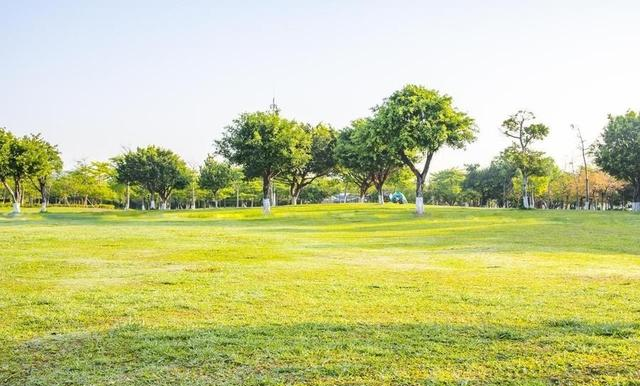 告诉大家一个好消息：济南出现 4 个新现象，关系到每个人！