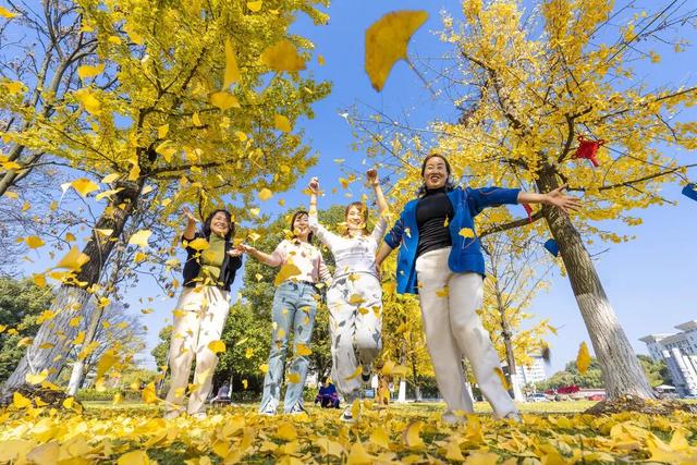 黄石开启“落叶缓扫”模式！10处区域等您来赏景