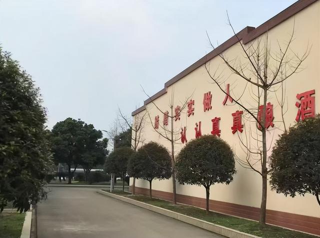 胖东来“光瓶酒”卖爆后，又一白酒走红，100%纯粮酿造仅售128元