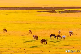 退休之后，如果帮忙带孙子或外孙，最好定下3条规矩，这是远见图片