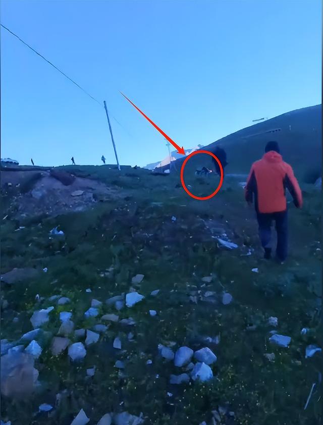 西藏越野车坠崖，藏族姑娘钻车救人，现场视频曝光，当地文旅回应