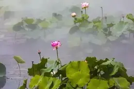 为何别人屏蔽了你，你别傻傻不知为啥？你中招了三条图片