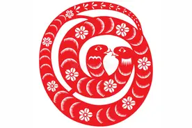 生肖六～蛇图片