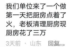 当你有个卧龙凤雏员工日子有多精彩！老板：你是对家派来的间谍吧图片