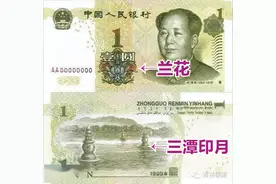 人民币中藏着的那些花和风景图片