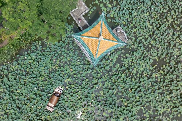 湾区人气乐队空降献唱!今天就去这些地方约会吧~
