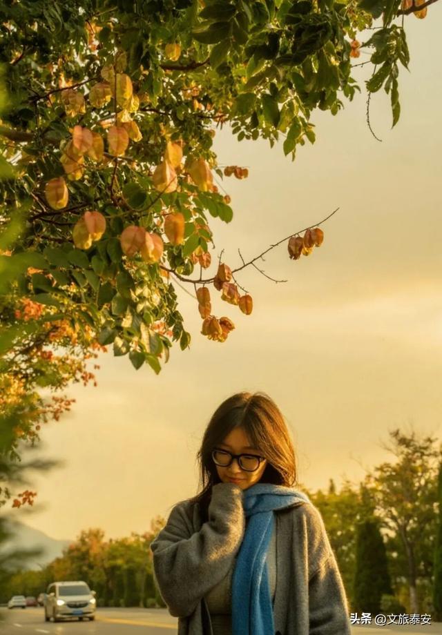 来赏银杏啦！还记得那年 “杏” 花微雨，你说要来新甫山~