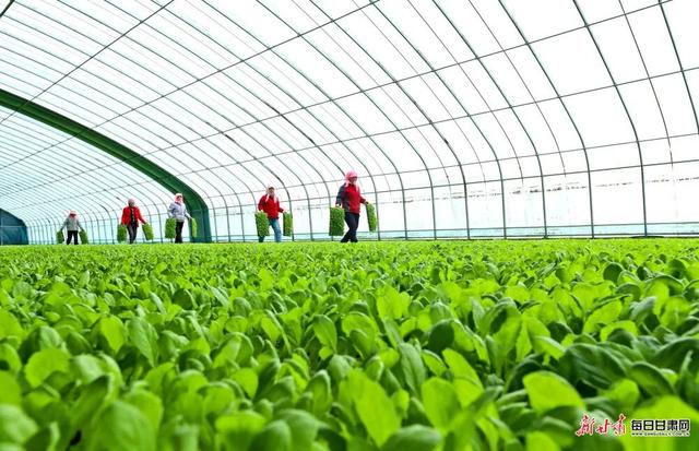 春天，给甘肃一键上色