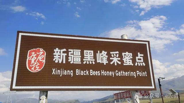 新疆“西施”，美翻天！