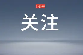 河南南阳野生动物园出售30元一份老虎毛？动物园官方回应：临时工个人行为，已开除图片