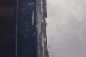 【交广热线 汽车维权】货车故障频发，车主要求退换！新车前机盖出现众多“圆点”究竟为何？图片