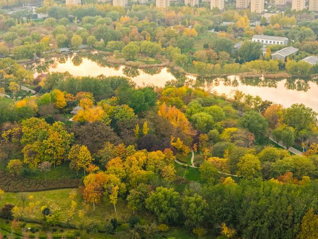 初冬访复圣文化园：与色彩和哲思对话