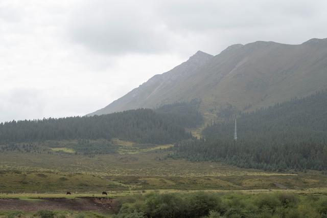 张掖山丹马场——祁连山脚下的大草原