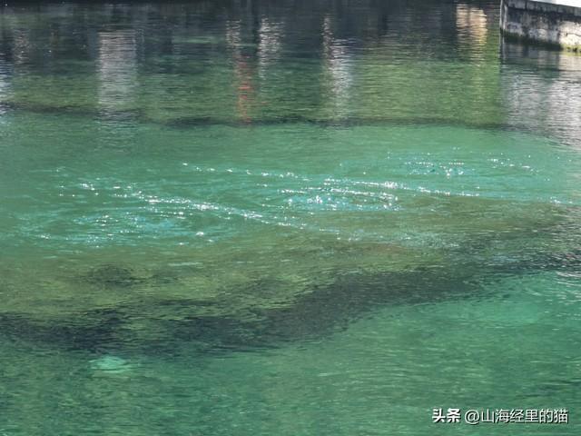 谁也没想到！河北这个不起眼的小县城，如今逆袭成“全国顶流”