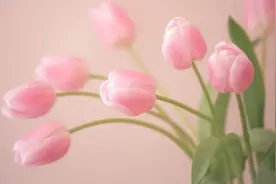 断联很久的人，突然又联系你了，一般只有三种目的，别不信图片