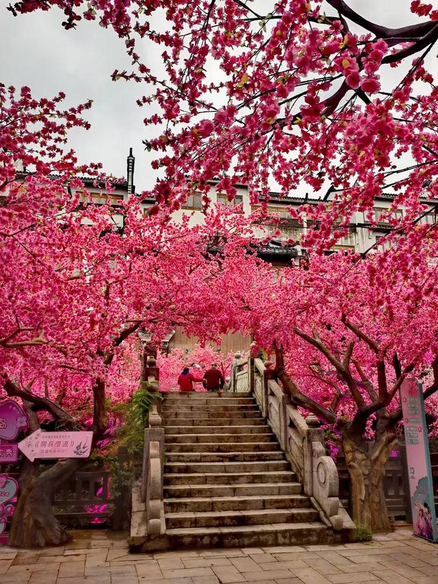 相约在湖州,相聚在梦萦——记原福空医院老战友2025年湖州行