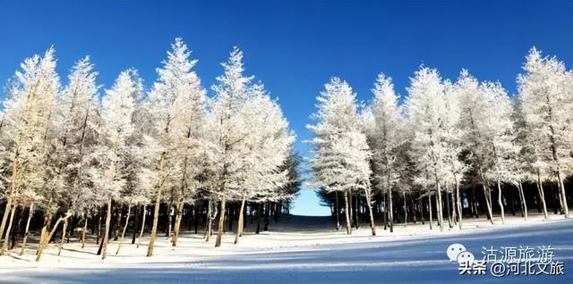 回到坝上沽源 感受家乡的冬天