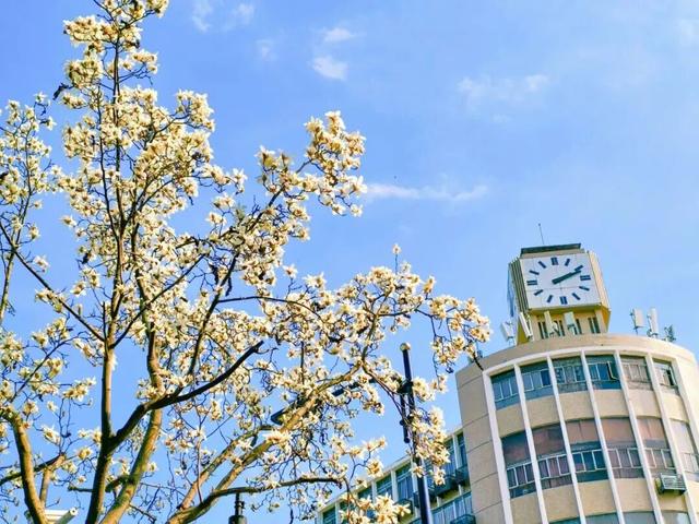 我说白了，萧山你是不是有点过分了！