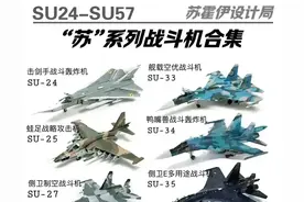 俄罗斯“苏”系列战斗机合集图片