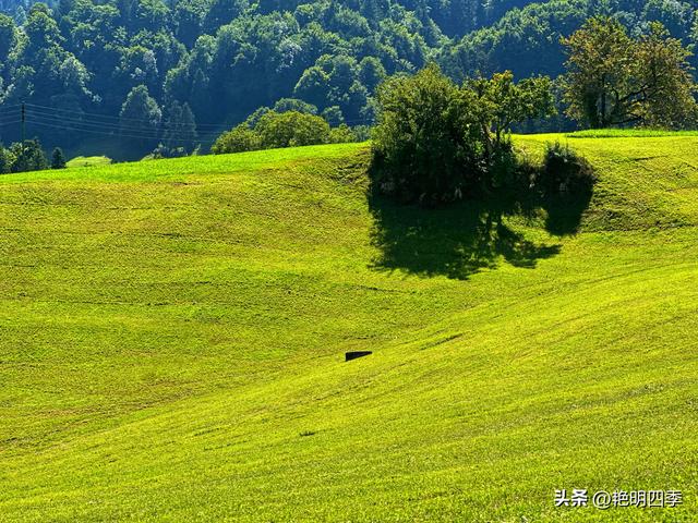欧游杂记（5）‖ 齿轮火车几上几下瑞吉山，缆车凌空飞跃韦吉斯