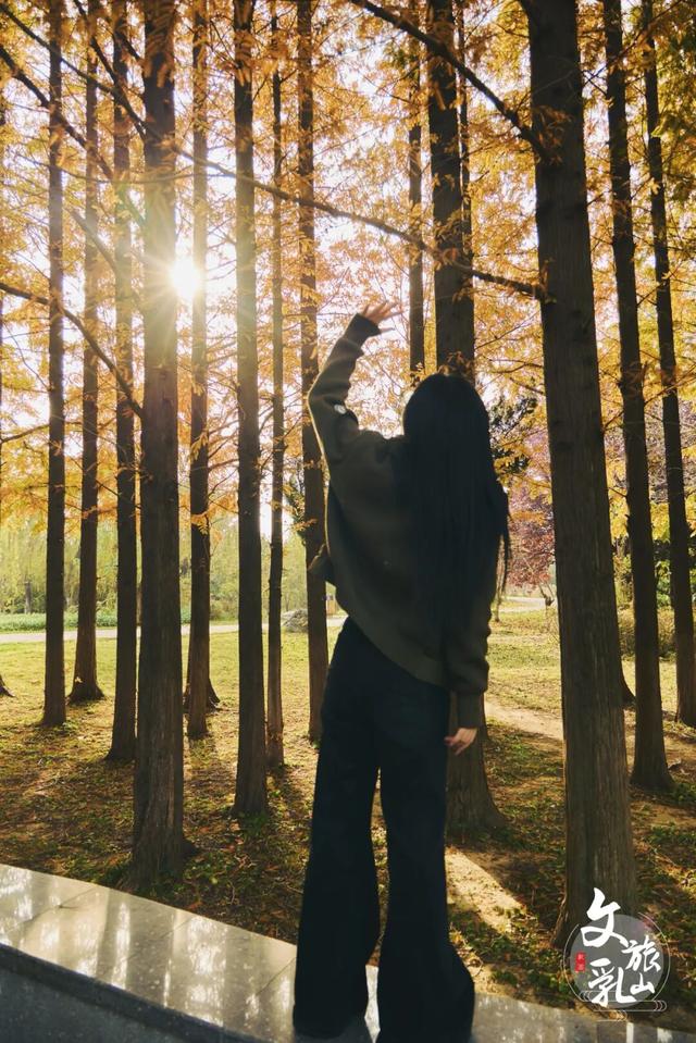 当秋风吻过乳山：一场关于色彩与治愈的漫步指南