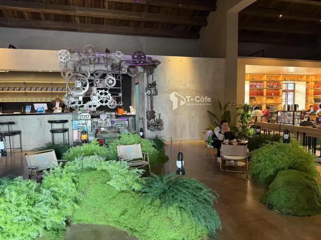 聚焦 | 丝带耀海河!绘就发展新画卷!