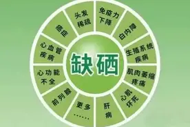 沙苑子富含微量元素硒能提高免疫力，改善体质促进食欲，补肾益寿图片