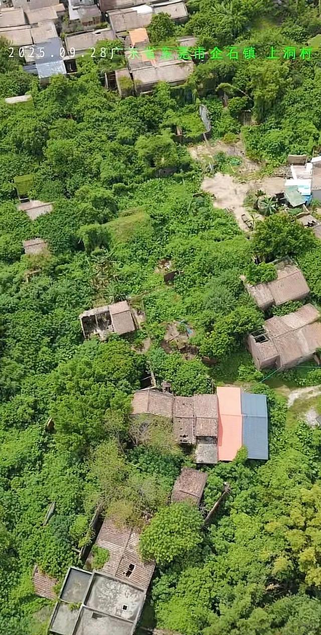 东莞有一处无人村，内部杂草丛生，倍感凄凉，让人觉得惋惜