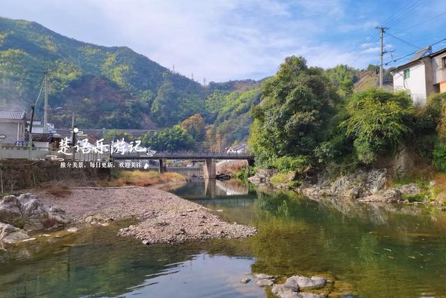 宁波余姚的夫妻银杏又火了，树边的溪上休闲空间超美，好拍又好玩