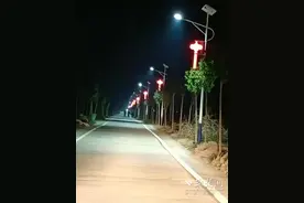 荆州市苏家铺村：振兴路上阔步行 乡村“蝶变”焕新颜图片