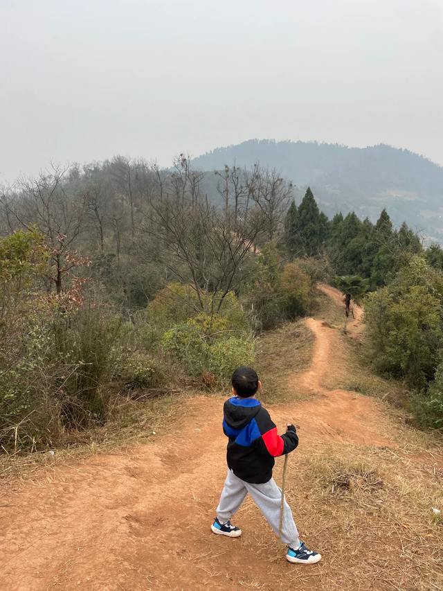 成都周边1h！公交直达的野趣山脊，新手亲子徒步首选！